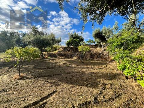 Terreno Rústico  Venda em Freixial e Juncal do Campo,Castelo Branco