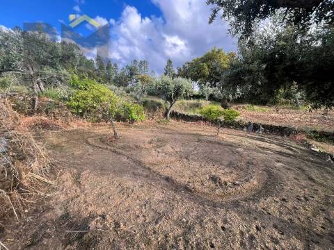 Terreno Rústico  Venda em Freixial e Juncal do Campo,Castelo Branco