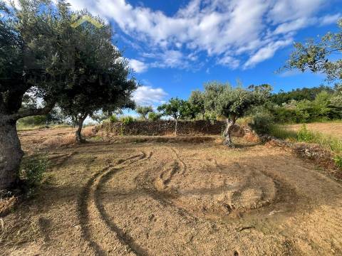 Terreno Rústico  Venda em Freixial e Juncal do Campo,Castelo Branco