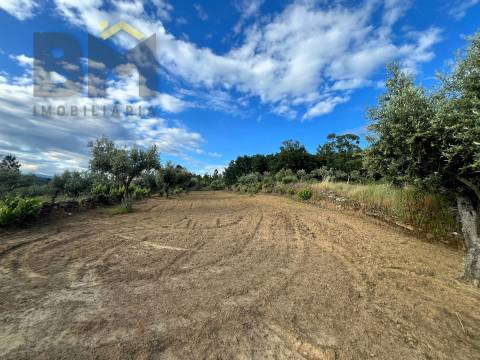 Terreno Rústico  Venda em Freixial e Juncal do Campo,Castelo Branco