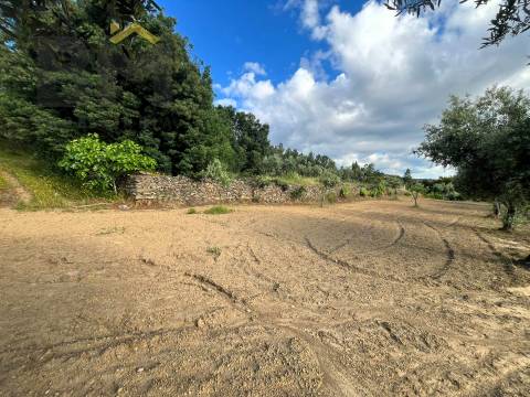 Terreno Rústico  Venda em Freixial e Juncal do Campo,Castelo Branco