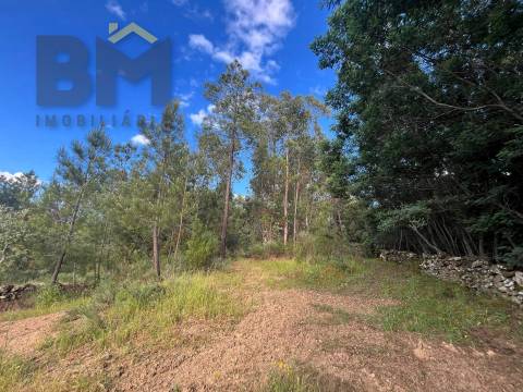 Terreno Rústico  Venda em Freixial e Juncal do Campo,Castelo Branco