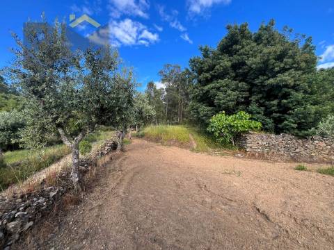 Terreno Rústico  Venda em Freixial e Juncal do Campo,Castelo Branco
