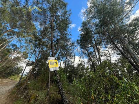 Terreno Rústico  Venda em Freixial e Juncal do Campo,Castelo Branco
