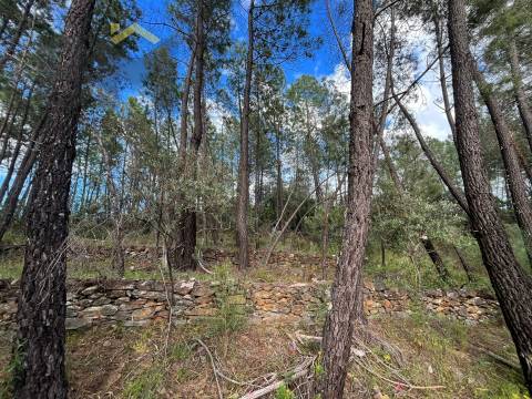 Terreno Rústico  Venda em Freixial e Juncal do Campo,Castelo Branco