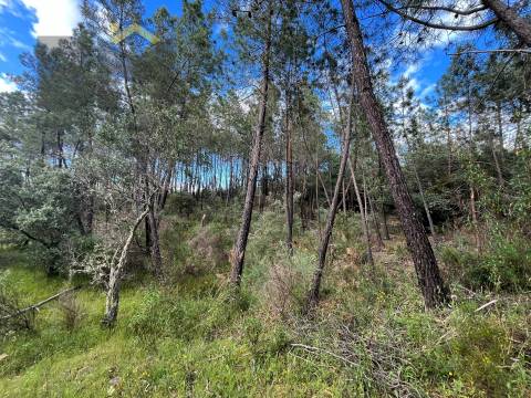 Terreno Rústico  Venda em Freixial e Juncal do Campo,Castelo Branco