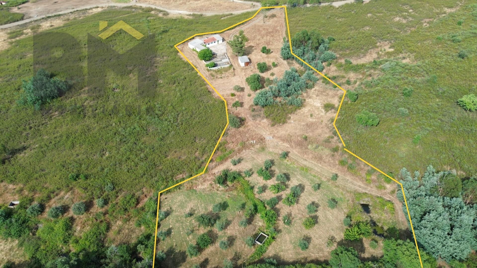 Quinta T1 Venda em Salgueiro do Campo,Castelo Branco