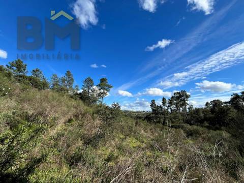 Terreno Rústico  Venda em Salgueiro do Campo,Castelo Branco
