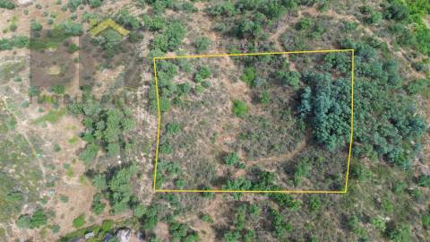 Terreno Rústico  Venda em Salgueiro do Campo,Castelo Branco