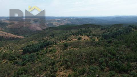 Terreno Rústico  Venda em Salgueiro do Campo,Castelo Branco