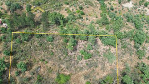 Terreno Rústico  Venda em Salgueiro do Campo,Castelo Branco