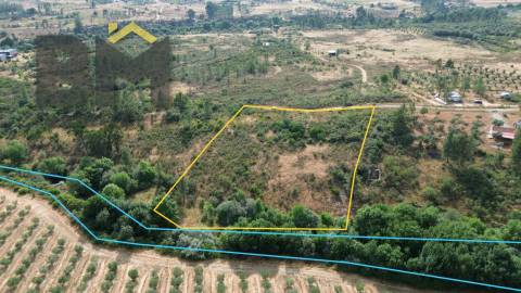 Terreno Rústico  Venda em Freixial e Juncal do Campo,Castelo Branco