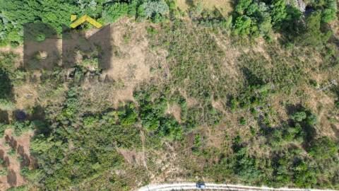 Terreno Rústico  Venda em Freixial e Juncal do Campo,Castelo Branco