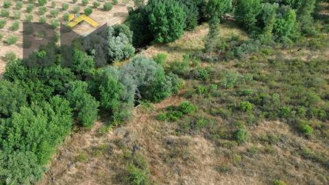 Terreno Rústico  Venda em Freixial e Juncal do Campo,Castelo Branco