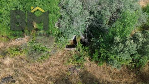 Terreno Rústico  Venda em Freixial e Juncal do Campo,Castelo Branco