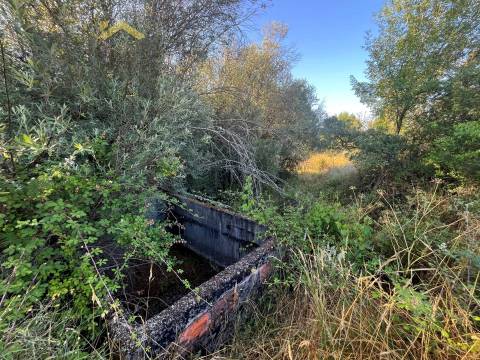 Terreno Rústico  Venda em Freixial e Juncal do Campo,Castelo Branco