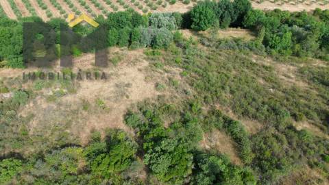 Terreno Rústico  Venda em Freixial e Juncal do Campo,Castelo Branco