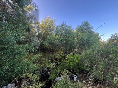 Terreno Rústico  Venda em Freixial e Juncal do Campo,Castelo Branco