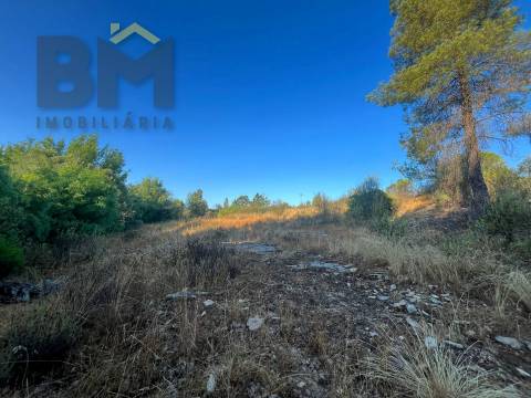 Terreno Rústico  Venda em Freixial e Juncal do Campo,Castelo Branco