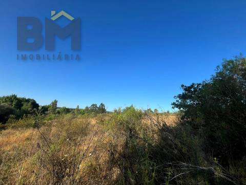 Terreno Rústico  Venda em Freixial e Juncal do Campo,Castelo Branco