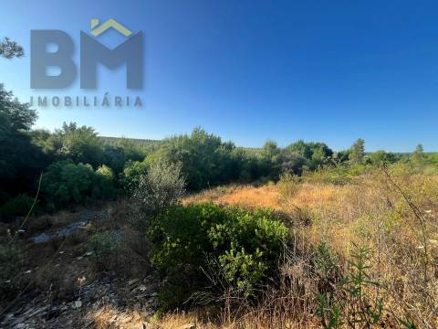 Terreno Rústico  Venda em Freixial e Juncal do Campo,Castelo Branco