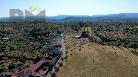 Armazém  Venda em Freixial e Juncal do Campo,Castelo Branco