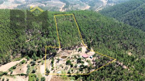 Quinta  Venda em Almaceda,Castelo Branco