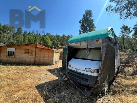 Quinta  Venda em Almaceda,Castelo Branco