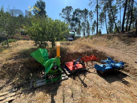 Quinta  Venda em Almaceda,Castelo Branco