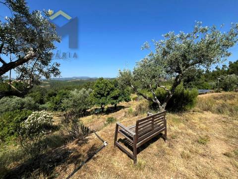Quinta  Venda em Almaceda,Castelo Branco