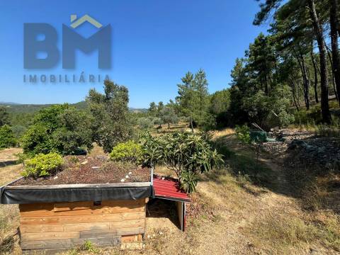 Quinta  Venda em Almaceda,Castelo Branco