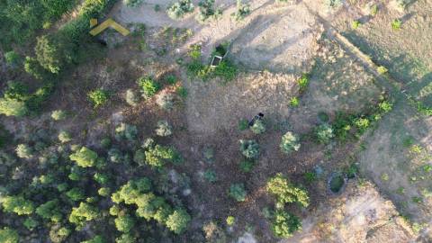 Terreno Rústico  Venda em Freixial e Juncal do Campo,Castelo Branco