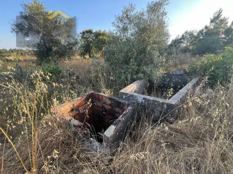 Terreno Rústico  Venda em Freixial e Juncal do Campo,Castelo Branco
