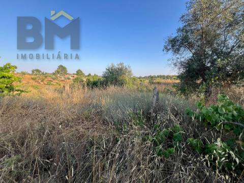 Terreno Rústico  Venda em Freixial e Juncal do Campo,Castelo Branco