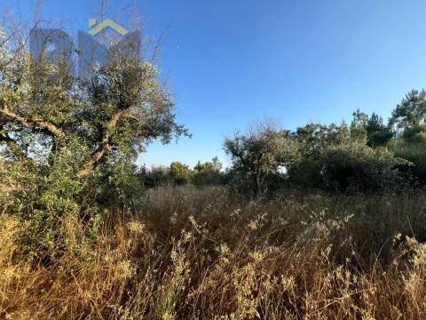 Terreno Rústico  Venda em Freixial e Juncal do Campo,Castelo Branco