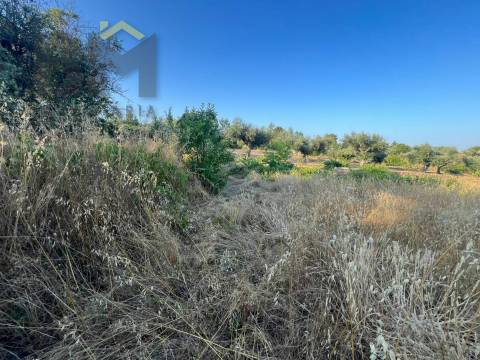 Terreno Rústico  Venda em Freixial e Juncal do Campo,Castelo Branco