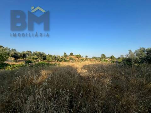 Terreno Rústico  Venda em Freixial e Juncal do Campo,Castelo Branco