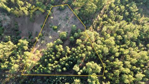 Terreno Rústico  Venda em Freixial e Juncal do Campo,Castelo Branco