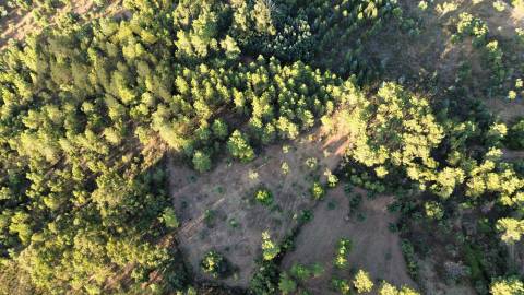 Terreno Rústico  Venda em Freixial e Juncal do Campo,Castelo Branco