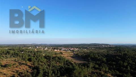 Terreno Rústico  Venda em Freixial e Juncal do Campo,Castelo Branco