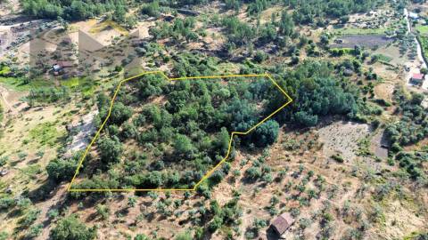 Terreno Rústico  Venda em Salgueiro do Campo,Castelo Branco