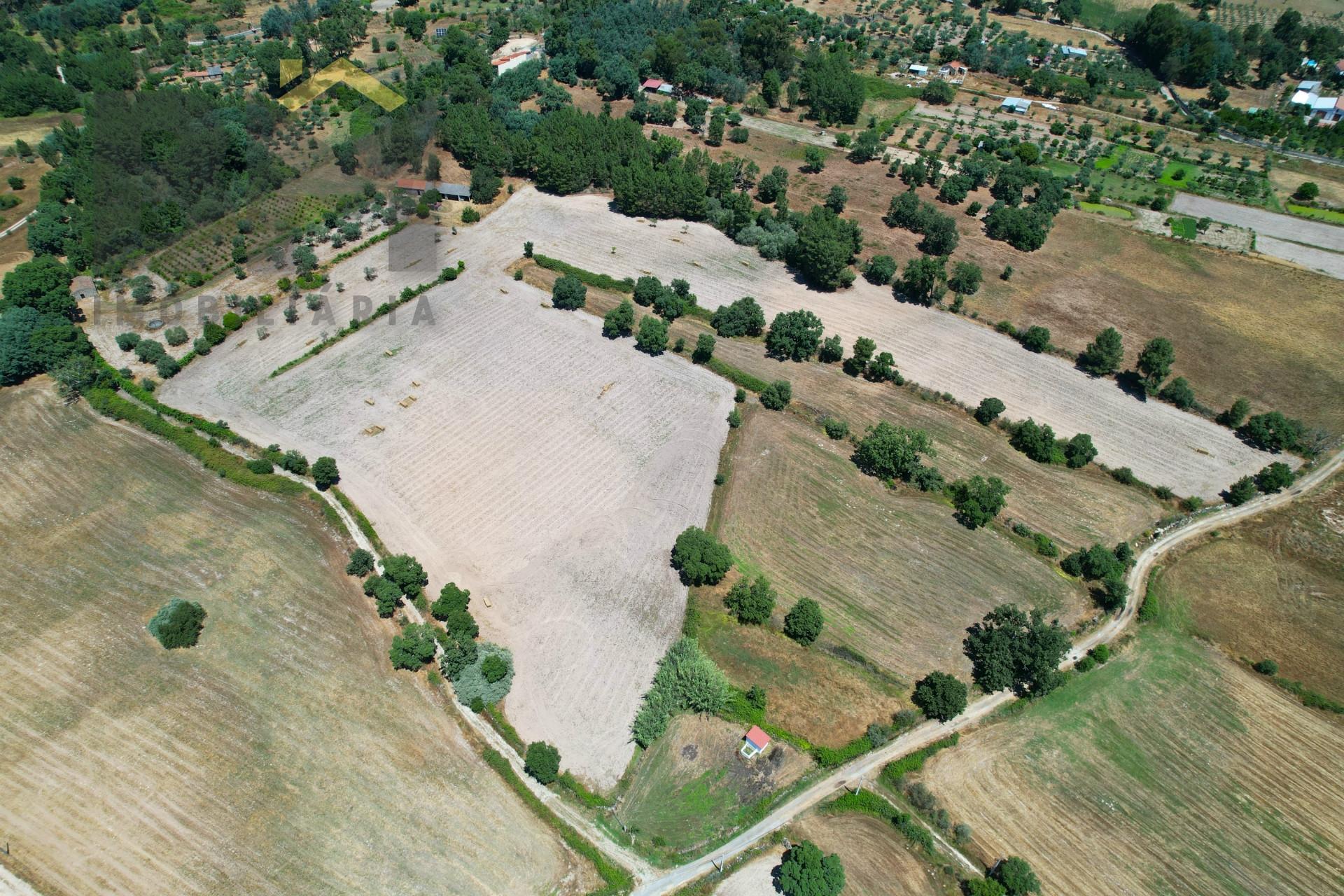 Quinta  Venda em Soalheira,Fundão
