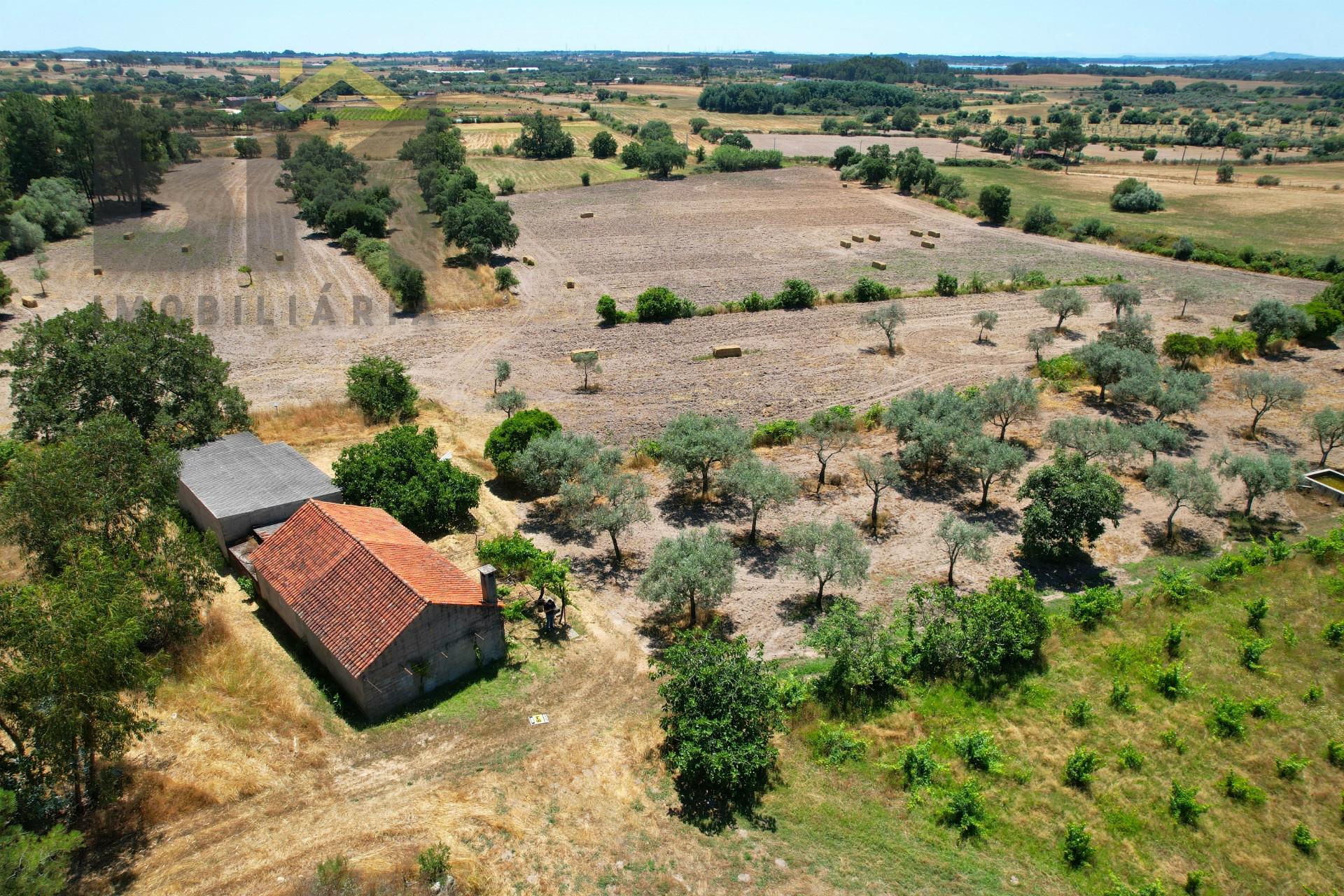 Quinta  Venda em Soalheira,Fundão