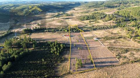Terreno Rústico  Venda em Freixial e Juncal do Campo,Castelo Branco