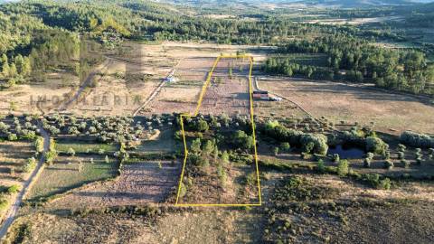 Terreno Rústico  Venda em Freixial e Juncal do Campo,Castelo Branco