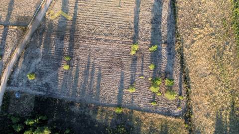 Terreno Rústico  Venda em Freixial e Juncal do Campo,Castelo Branco