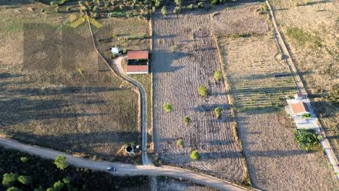 Terreno Rústico  Venda em Freixial e Juncal do Campo,Castelo Branco