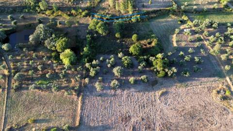 Terreno Rústico  Venda em Freixial e Juncal do Campo,Castelo Branco