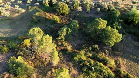 Terreno Rústico  Venda em Freixial e Juncal do Campo,Castelo Branco