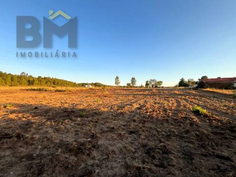 Terreno Rústico  Venda em Freixial e Juncal do Campo,Castelo Branco